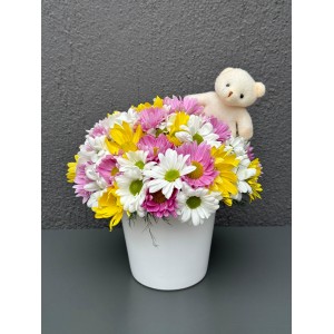 SERAMİK VAZODA KARIŞIK PAPATYA MİNİ AYICIK